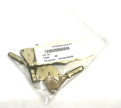 New | in-Stock Fortress Interlocks tGard Master Key ITM-00046039 LOT OF 6 Safety Products (Other) Michigan US | Maverick Industrial Sales #1393246