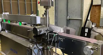 USED 2019 CAPMATIC LABELSTAR SYSTEM 2/1 T-100
