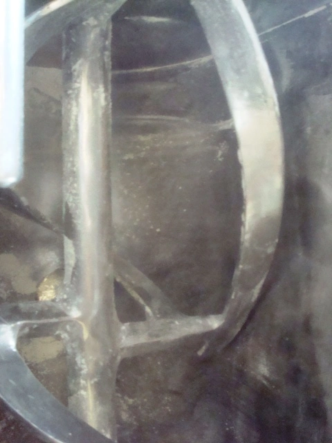 55L S/S Patorello JKTD  Ribbon Mixer