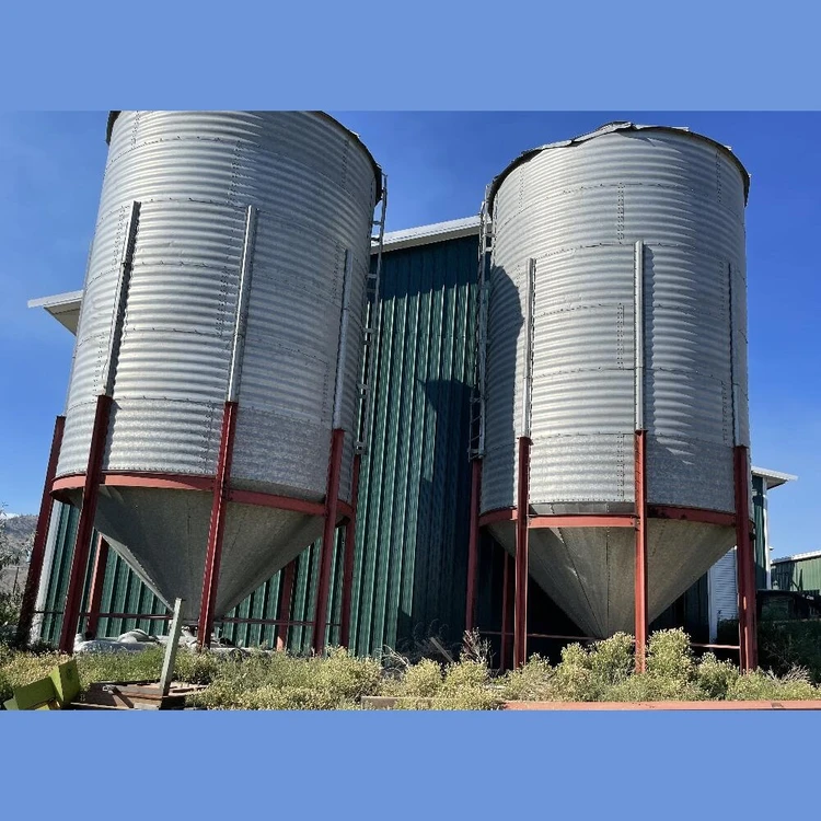 Used _UNKNOWN_ _UNKNOWN_ Hopper Bottom Silos British Columbia CA | Savona Equipment LTD #1171152