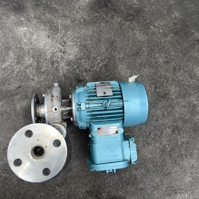 100 Lpm S/S Alpha Pump Type Cmm 125 Flp