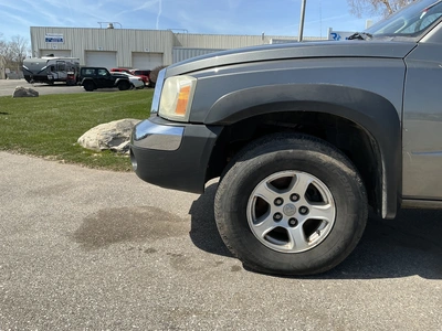 Used 2005 DODGE DAKOTA Pickup Trucks Michigan US | Miedema Asset Management Group #1413866