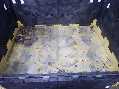 Collapsible Bulk Container