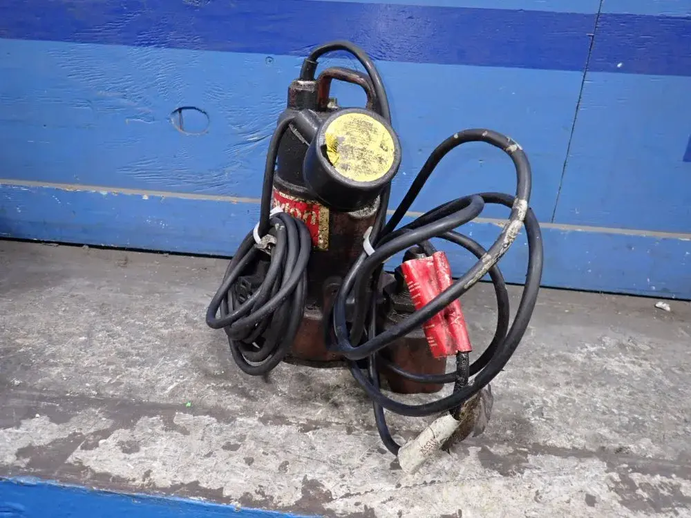Used DAYTON 3BB71 Pumps Ohio US | HGR 24 #870879