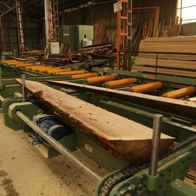 New | in-Stock _UNKNOWN_ _UNKNOWN_ Sawmill Material Handling Ontario CA | Moon Machinery #1764057
