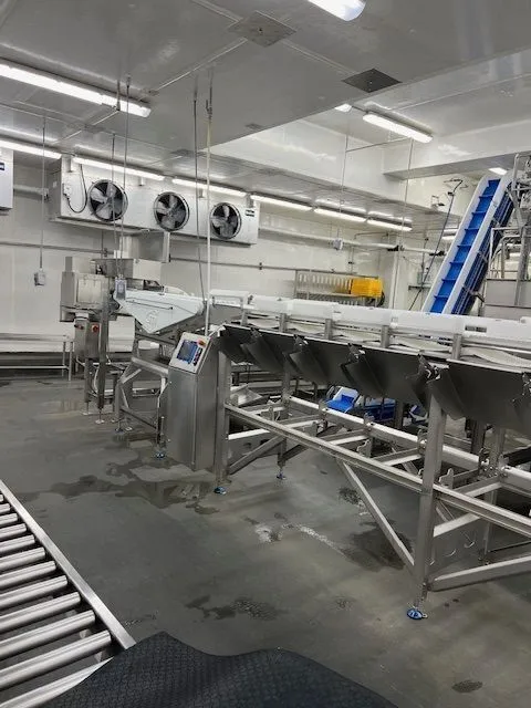 Used 2013 MAREL ProLine Grader Checkweighers - Belt Illinois US | M&M Equipment Corp. #1145441
