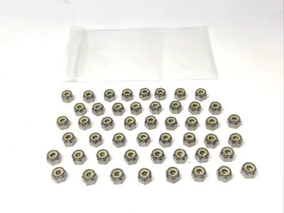 New | in-Stock Fastenal Nylon Insert Lock Nut Stainless Steel 1/4"-20 PACK OF 49 Nuts & Screws Michigan US | Maverick Industrial Sales #1507226