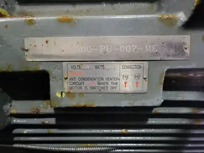250HP 4000V Advantage Plus Electric Motor