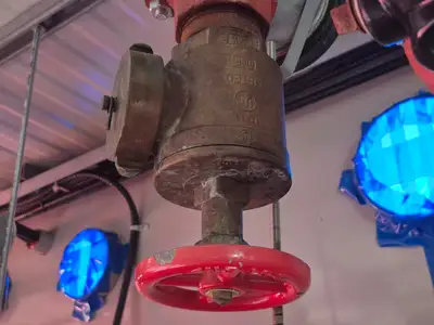 Containerized Foam Fire Suppression System w/ Deluge Valve, Potter Controls & Piping Manifold