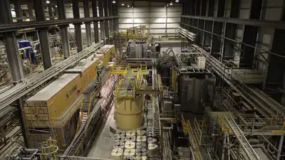 Gold Process Plant