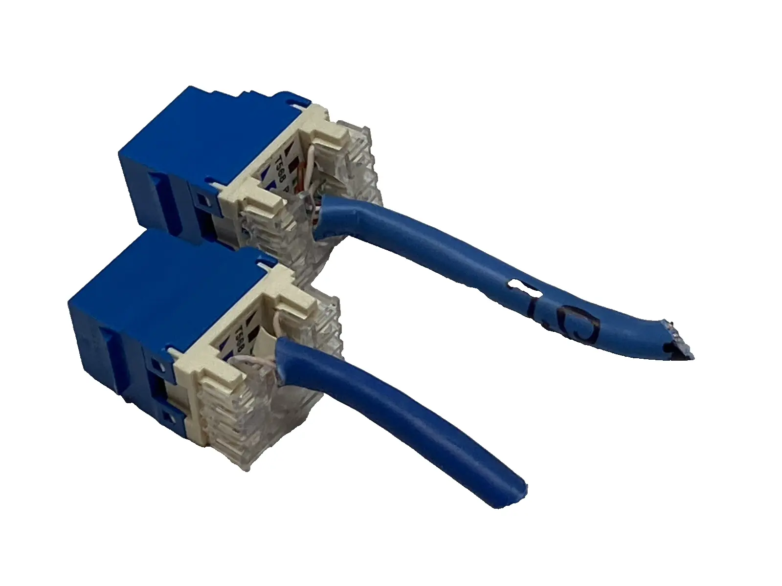 USED PANDUIT NETKEY CAT6 RJ45 KEYSTONE JACK, UTP BLUE LOT OF 2