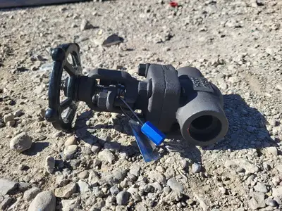 1" Class 800 Gate Valve API 602