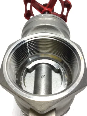 2″ Stainless Steel Gate Valve CF8M 200 PSI