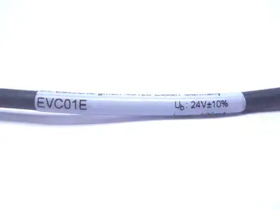 EVC01E | ifm  PNP / NPN Inverter Module - Used