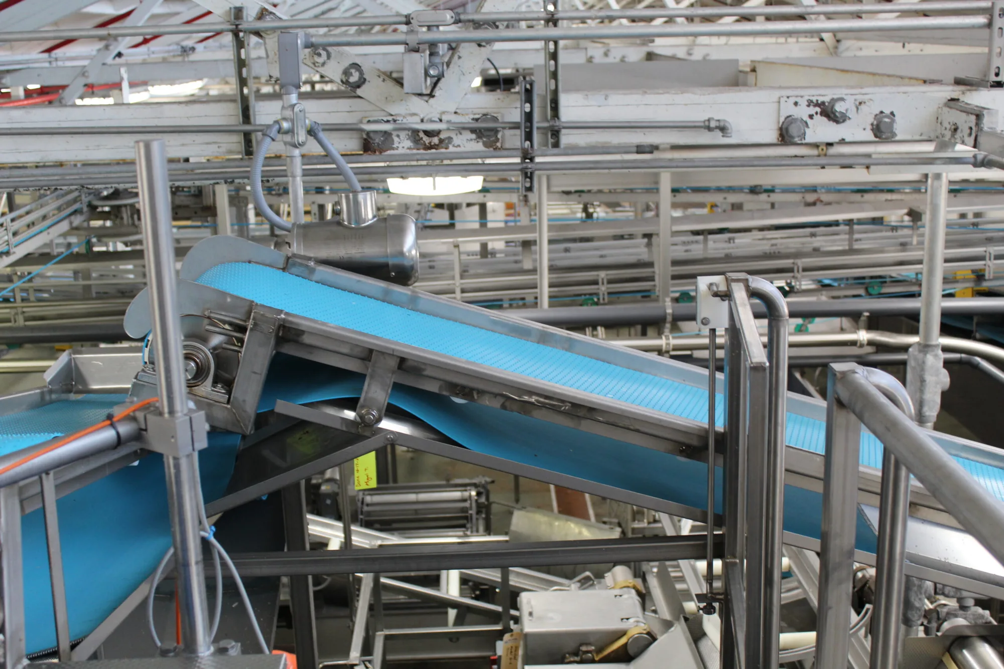 Filler Hopper Conveyor Feed 2
