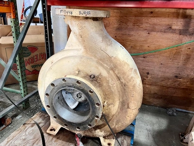 USED Goulds 3175
