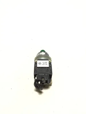 General Electric CR104D522 Oiltight Indicator Light