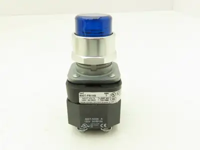 Allen Bradley 800T-PB16B Illuminated Push Button Momentary Blue 120VAC 30mm