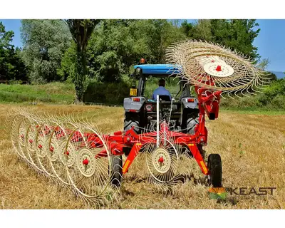 Used FARM KING RB10FK - 10 WHEEL Hay Rakes Iowa US | Keast Enterprises #1360486