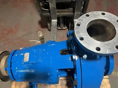USED GOULDS 3175