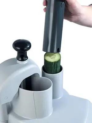 NEW ROBOT COUPE R301
