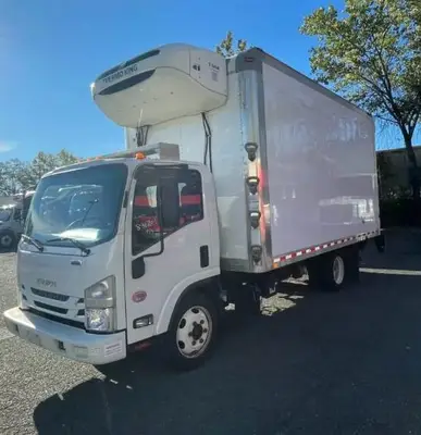 Used 2019 ISUZU NPR XD Reefer Trucks Florida US | Truck and Van Outlet #1509164