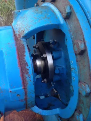 USED Goulds 3175L