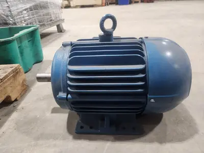 NEW WEG 00336ET3E182T-W22