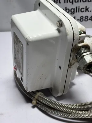 Bindicator RF82L5G1N-T RF Series Level Cable Probe Radio Frequency