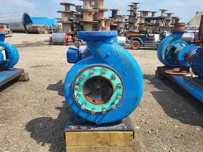 USED GOULDS 3196