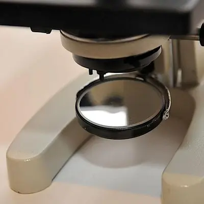 Student Compound Microscope RM-2B