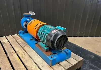 USED GOULDS 3196