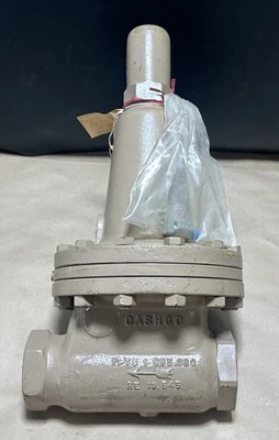 NEW Cashco 1000HP 1-8