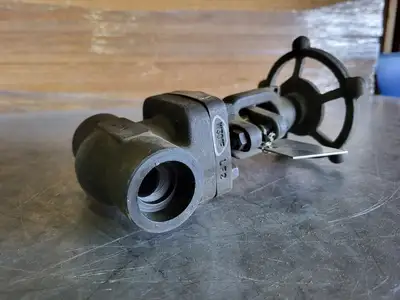 1" Class 800 Globe Valve API 602