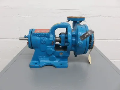 USED Goulds 3199
