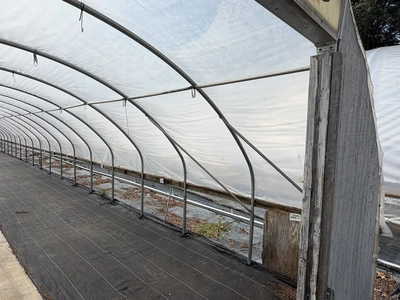 Used _UNKNOWN_ _UNKNOWN_ Greenhouse Equipment Michigan US | Miedema Asset Management Group #1396128