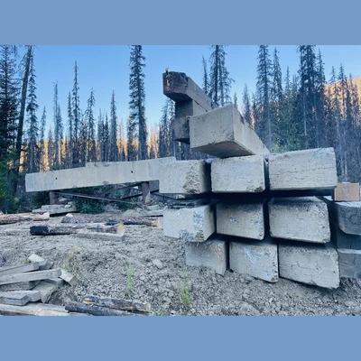 20ft Wide x 30ft Long Bridge
