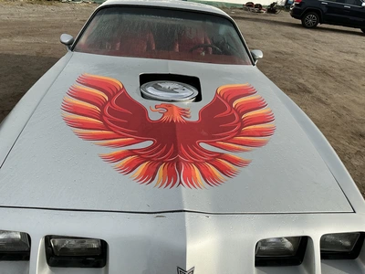 Used 1979 PONTIAC TRANS-AM Classic Cars & Trucks Michigan US | Miedema Asset Management Group #1484147