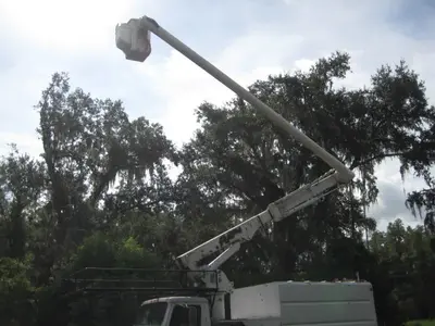 Used 1999 INTERNATIONAL 4700 Dump trucks Florida US | Proxy Equipment #1377757