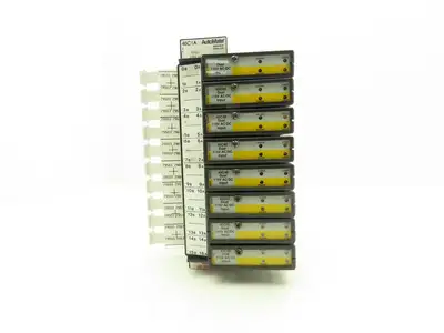 Reliance Electric 45C1A AutoMate Programmable Controller W/8 Dual 24V Inputs