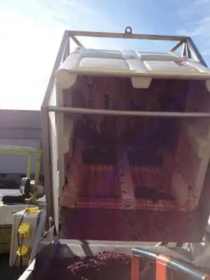 Custom Bin Dumper