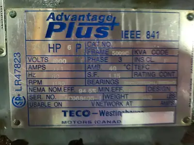 250HP 4000V Advantage Plus Electric Motor