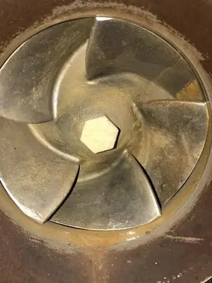 Goulds 3196 XLT  8x10x13  SS