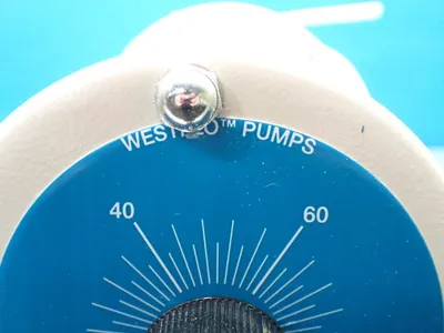 NEW WESTFLO PUMPS 1203228