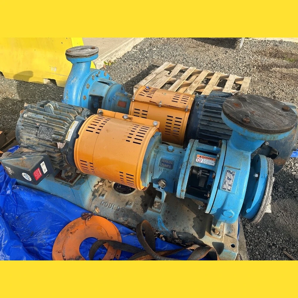 USED GOULDS 3196
