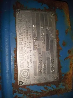 USED Goulds 3175