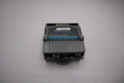 Giddings & Lewis M.1300.7372 R1 Input Module 24VDC SINK/SOURCE STOCK 5181A