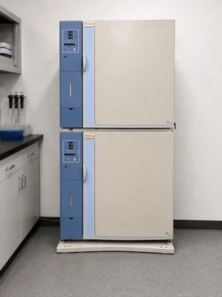 Used THERMO FISHER SCIENTIFIC FORMA CO2 Incubators New Jersey US | Bionex Scientific LLC #799828