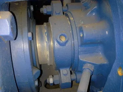 USED Goulds 3175