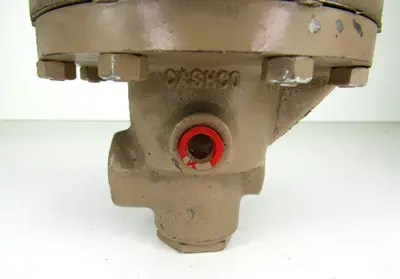 Cashco 1/2" NPT Pressure Reducing Valve, S231